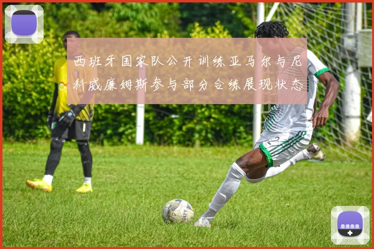 西班牙国家队公开训练亚马尔与尼科威廉姆斯参与部分合练展现状态